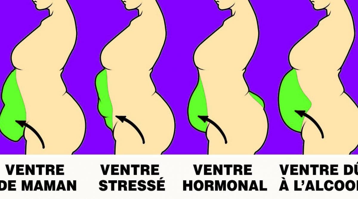 Types De Gros Ventres Et Comment Sen D Barrasser Selon Une