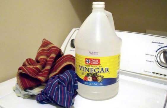 5 raisons d’ajouter du vinaigre dans votre lave linge