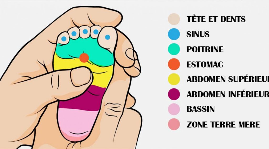 Bon A Savoir Les Meilleures Recettes De Cuisine Faciles Et Simples Astuces Jardinage
