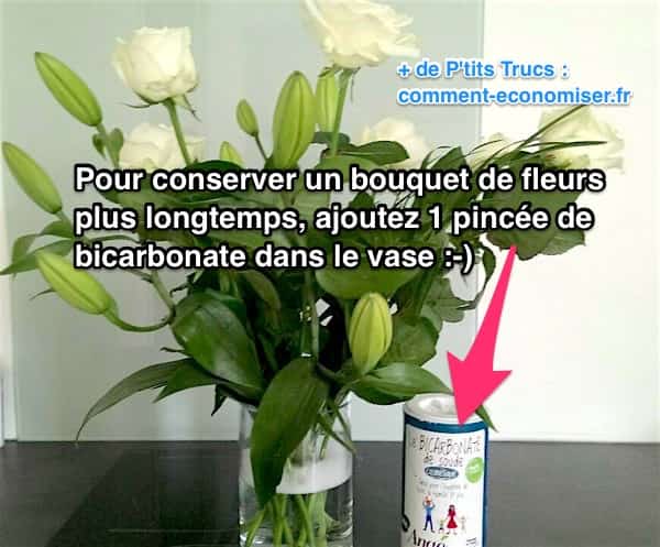 2 Astuces Pour Conserver un Bouquet de Fleurs PLUS Longtemps