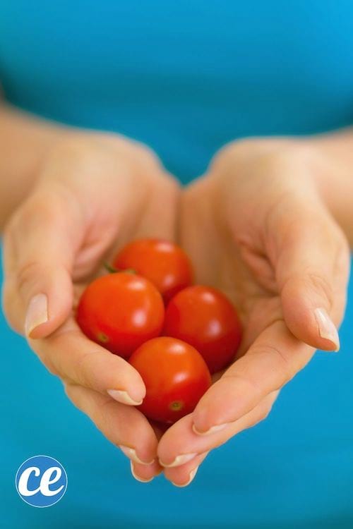 23 Astuces Pour Faire Pousser des tomates en pot