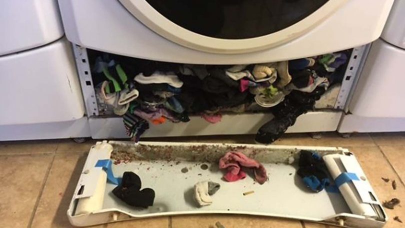 Voici pourquoi la machine à laver « mange » vos chaussettes