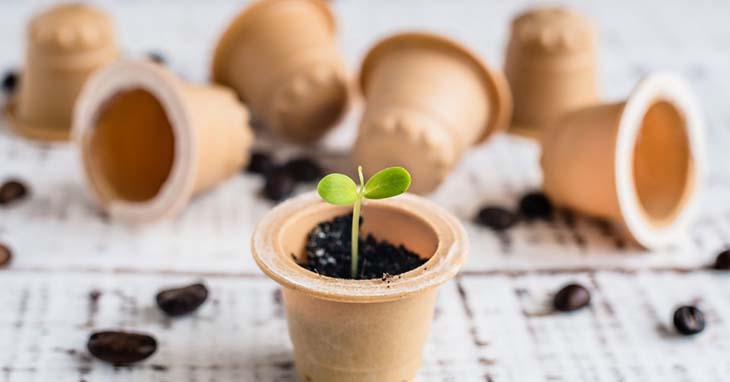 Voici comment recycler les capsules de café en pots pour plantes