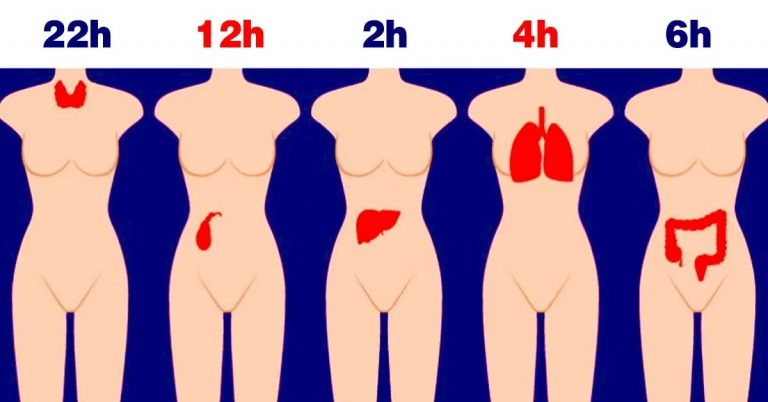 Si vous vous réveillez chaque nuit à la même heure, voici ce que cela signifie