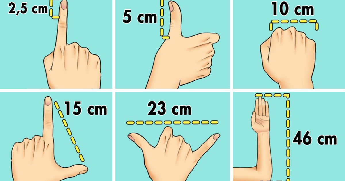 4 astuces pour mesurer les objets sans utiliser de mètre Bon À Savoir