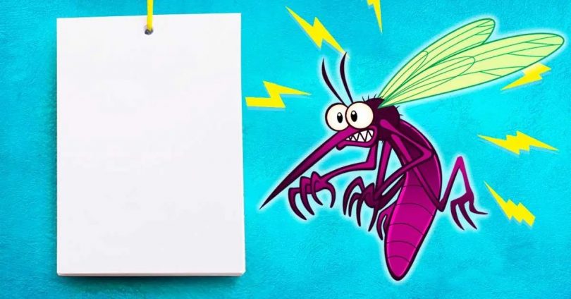 Comment éloigner les mouches et les moustiques avec l’astuce de la feuille ?