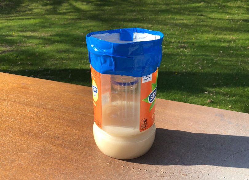Voici comment fabriquer un piège maison efficace contre les moustiques