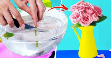 L’astuce des fleuristes pour conserver les fleurs dans un vase 3 fois plus longtemps